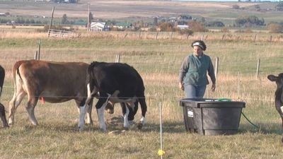 Image for story: Panhandle farmers, livestock producers may be eligible for USDA drought assistance
