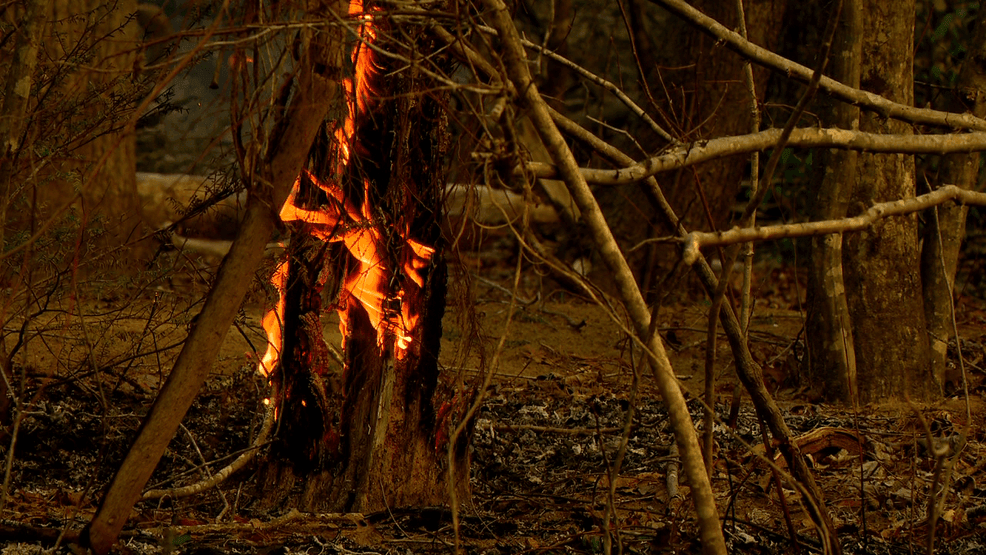 Image for story: Black Cove Complex Fire in Polk County becomes 'highest-priority fire' in USA