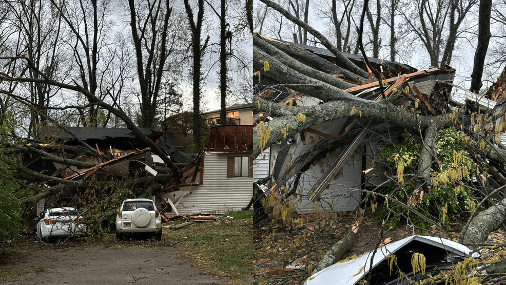 Image for story: 2 brothers nearly escape tragedy, tree crushes through Antioch home while they're asleep